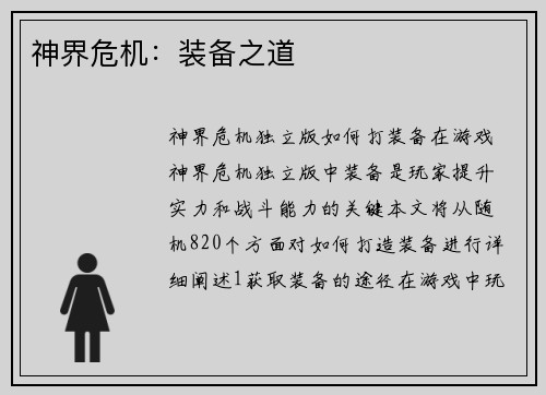神界危机:装备之道